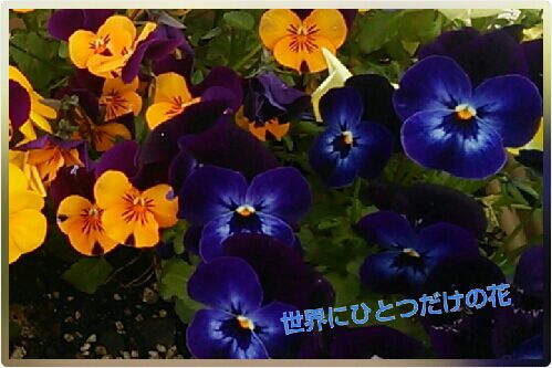 rblog-20160406222625-00.jpg