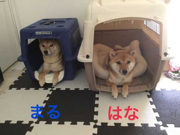 rblog-20150721125621-05.jpg
