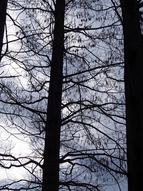 P2210431.jpg