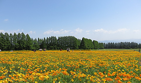 IMG_0957.jpg