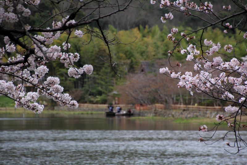 広沢の池_006.jpg