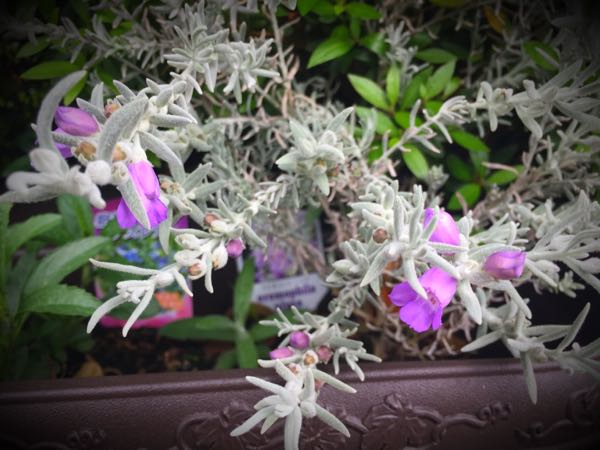 rblog-20160427173613-06.jpg