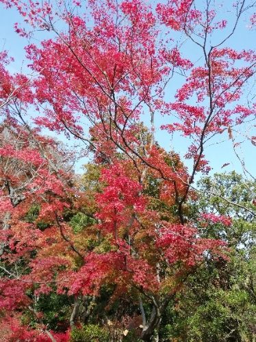 rblog-20181121230912-05.jpg