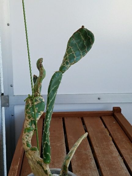 rblog-20180828115230-02.jpg