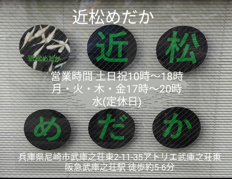 尚メダカ】現物出品《種親道三めだか様血統》 〔ラメ王