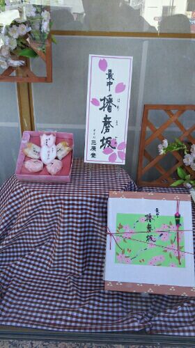 rblog-20160320050621-02.jpg