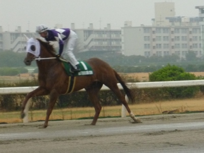 P1040730 (400x301).jpg