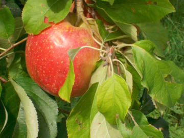 20131013-DSCN1448.JPG