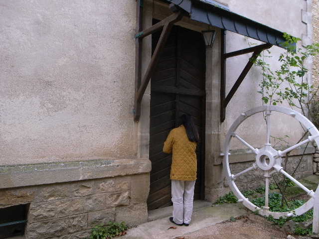 RIMG22272.JPG
