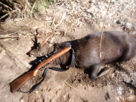 CA3I1076.jpg