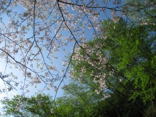 IMG_8443.jpg