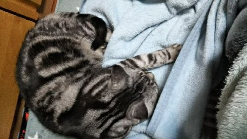 rblog-20180121202041-01.jpg