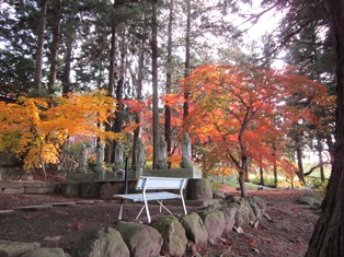 IMG_0005.JPG