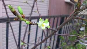 rblog-20130404174306-02.png