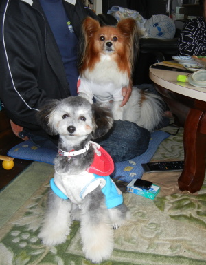 Liz 20120511.jpg