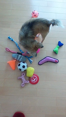 WIN_20150429_112848 2.jpg