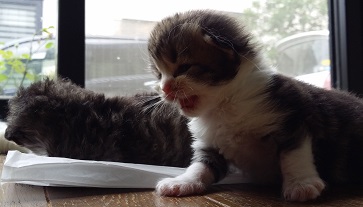 20150722-6
