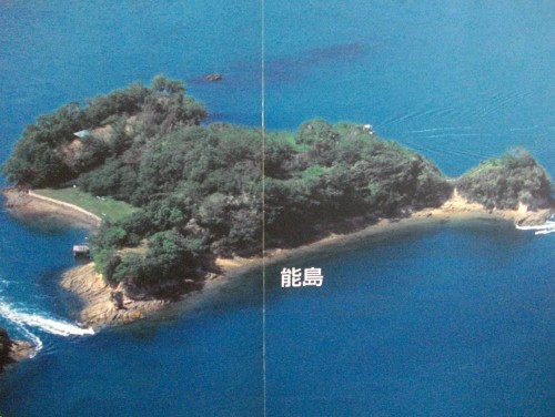 村上水軍博物館能島画像 (500x376).jpg