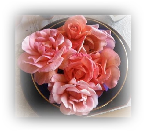 切り薔薇