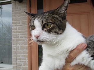 IMG_0325ss.jpg