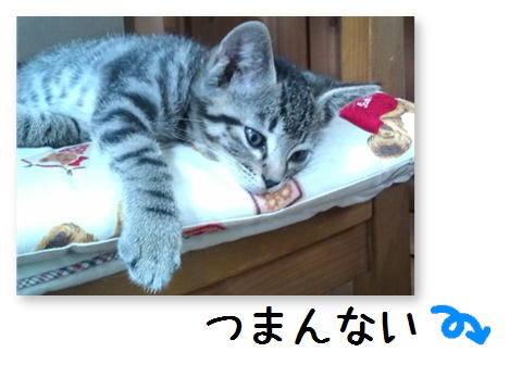 つまんない