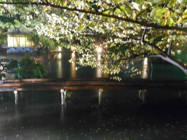 019 (640x480).jpg