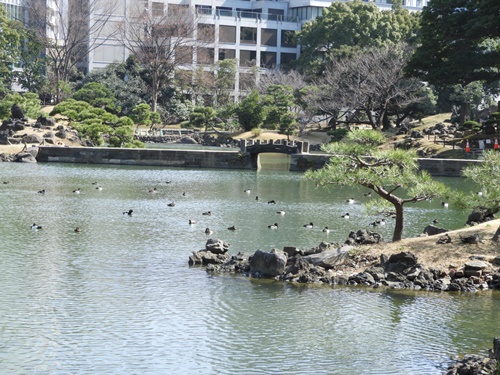 旧芝離宮恩賜庭園にて