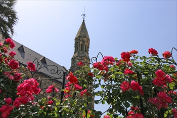 19世紀スコットランドの教会「グランドビクトリア湘南」と春バラ