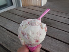 DSCN4355.JPG