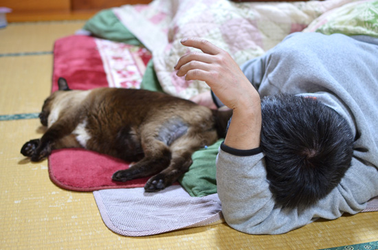たんたん