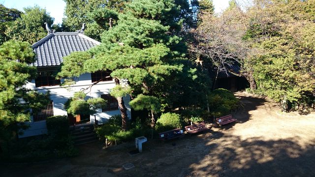 2015-11-03 13.52.31.jpg