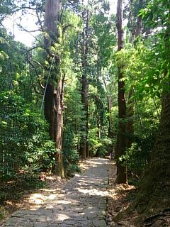 rblog-20140519064216-01.jpg