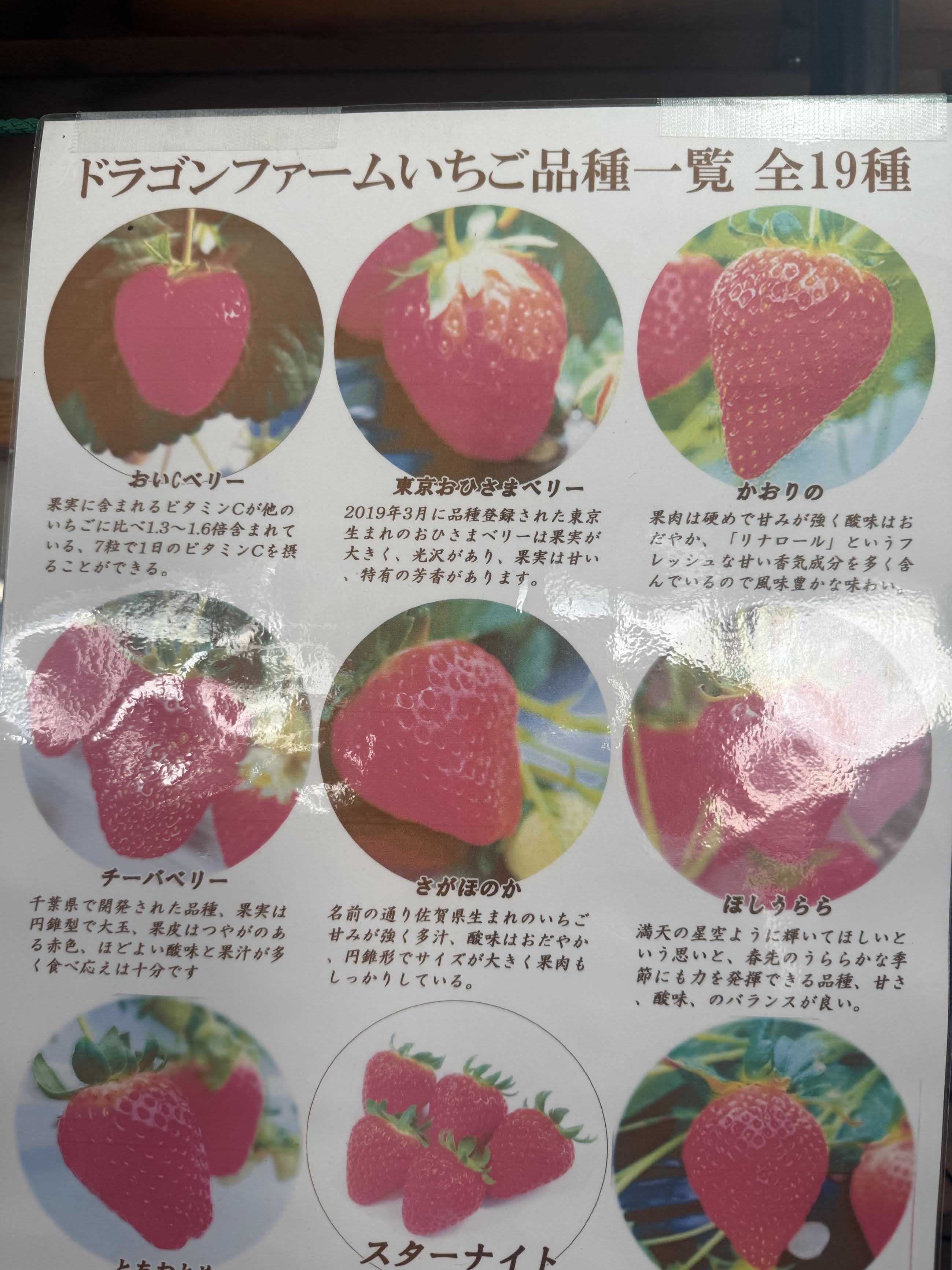 千葉市　ドラゴンファーム　子供といちご狩り　品種一覧
