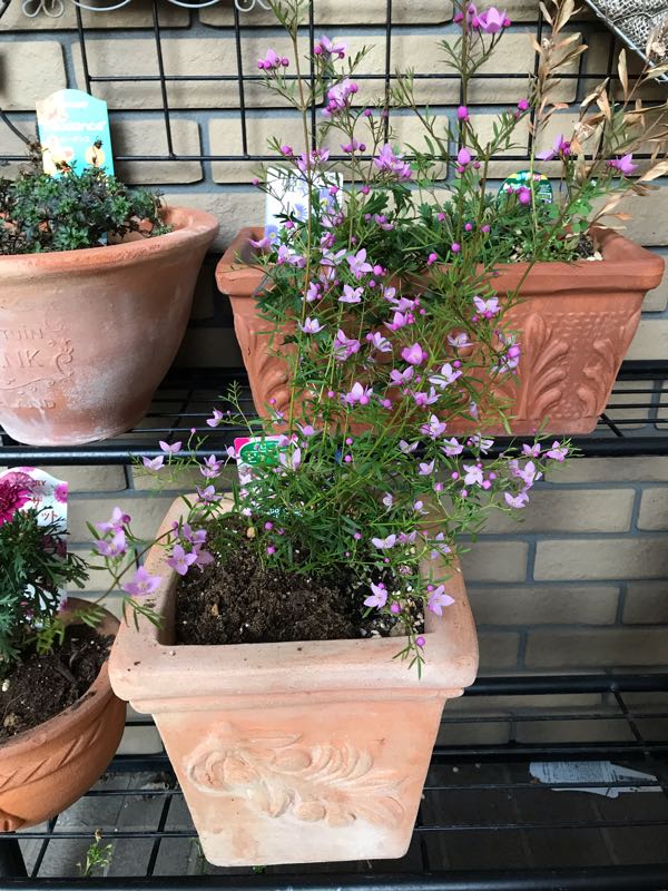 rblog-20190324174746-07.jpg