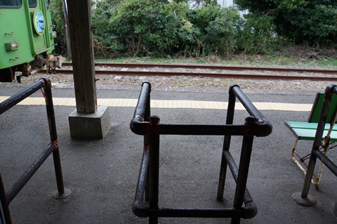DSC00500.JPG