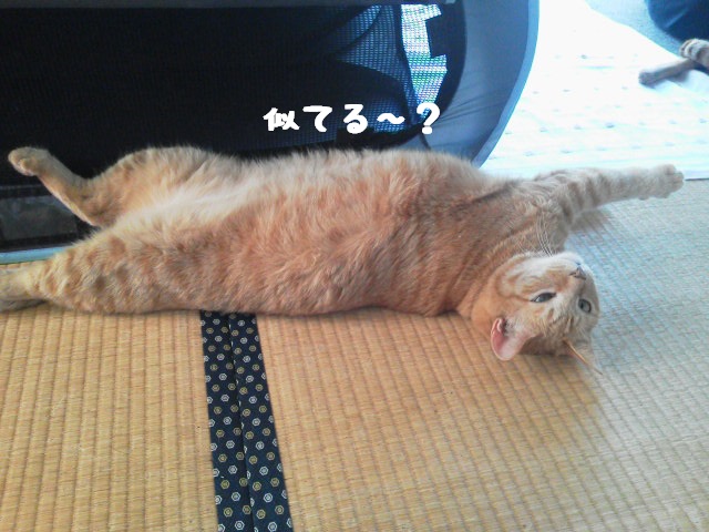 似てる