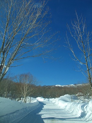 東北温泉巡り