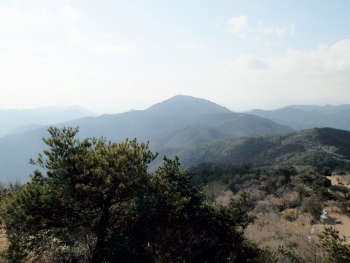 東鳳翩山-39.jpg