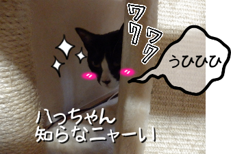P6180034.png
