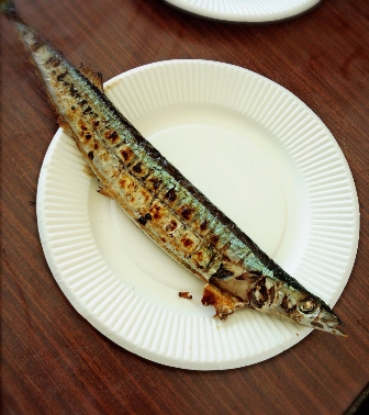 2014-09-06-15-46-32_deco.jpg