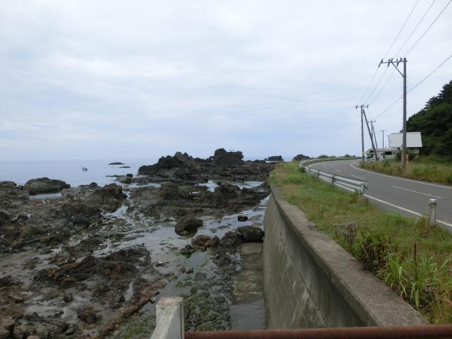 CIMG9338.jpg