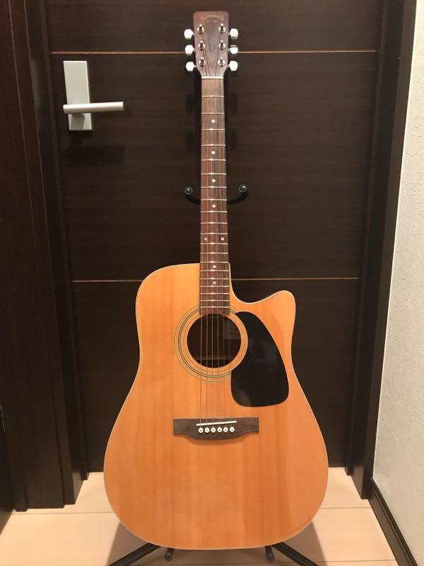 ギターの紹介 Takamine TDC35 | y-feel-happyの人生がより楽しくなるブログ - 楽天ブログ