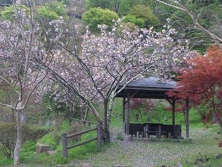130510_140804.jpg