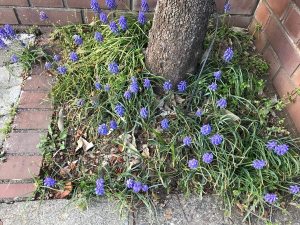 rblog-20180325184505-05.jpg
