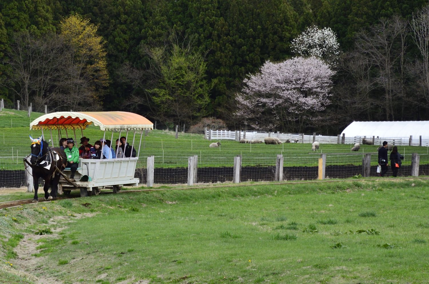 ｇｗ中の小岩井農場に行きました ふう 出来るだけ書くぞ 楽天ブログ