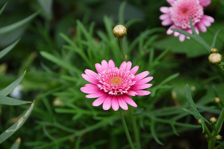 P1000851.jpg