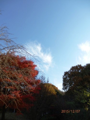 PC070845b20151207.jpg