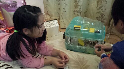 rblog-20151223101353-02.jpg