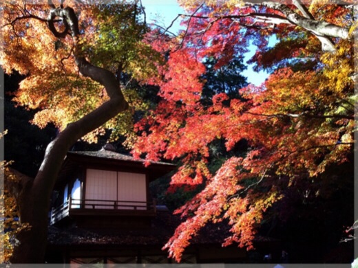 三渓園・聴秋閣