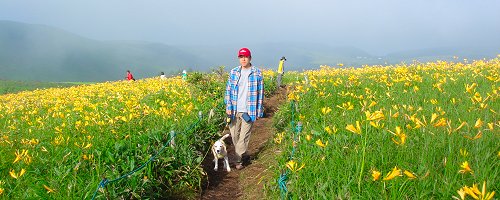 20130721満開